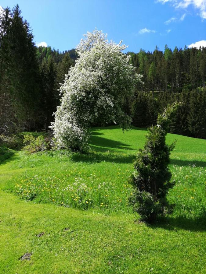 Pension Stoffler Sankt Veit in Defereggen 外观 照片